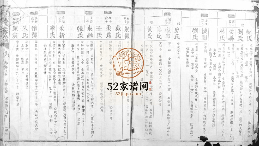 1941年信丰蓝氏七修族谱 江西蓝氏电子版家谱下载