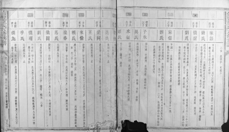 1894年信丰蓝氏六修族谱 江西蓝氏电子版家谱下载