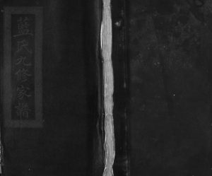 1930年三成蓝氏九修家谱[60卷]江西高安 修水敬德堂蓝氏电子版族谱下载