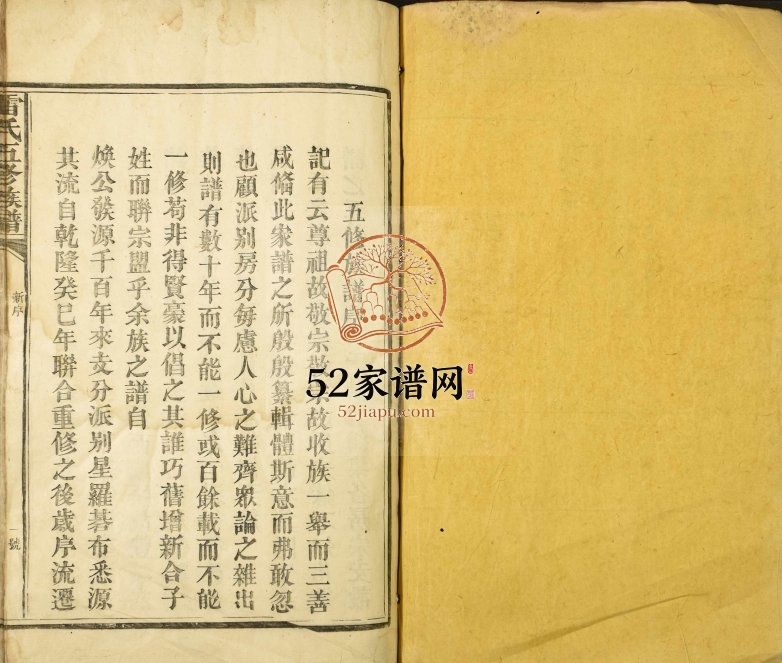 1882年雷氏五修族谱 江西丰城雷氏完整电子版家谱下载