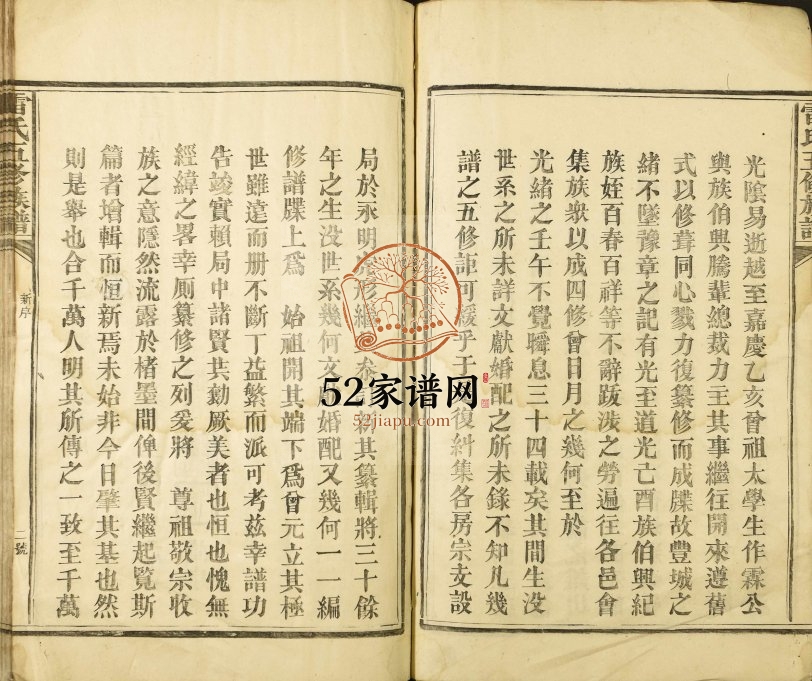 1882年雷氏五修族谱 江西丰城雷氏完整电子版家谱下载