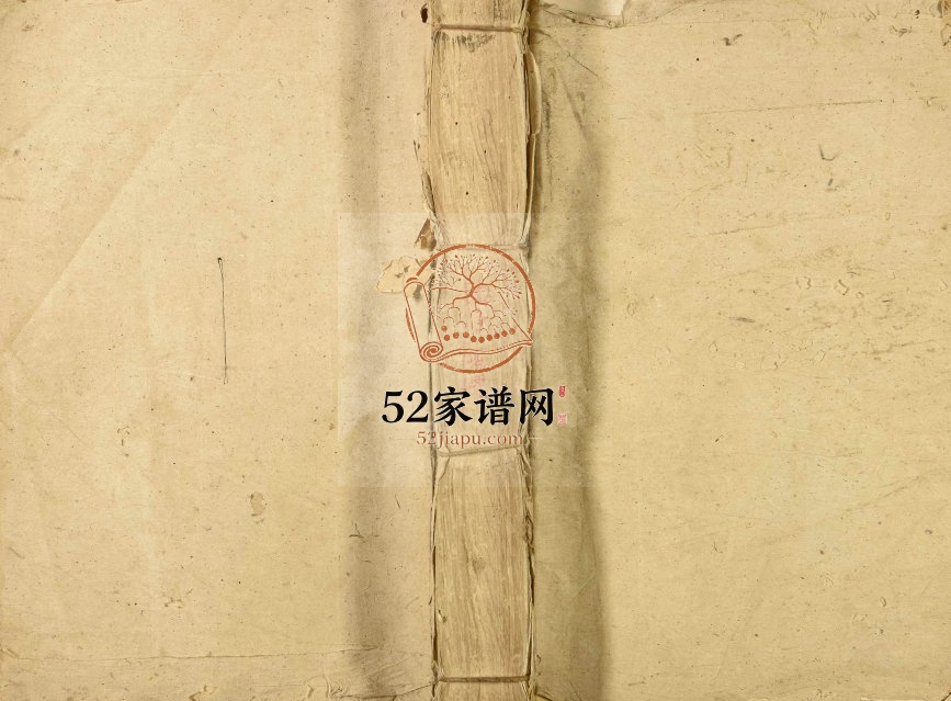 1876年黎氏九修族谱[不分卷]江西宁都黎氏完整电子版家谱下载