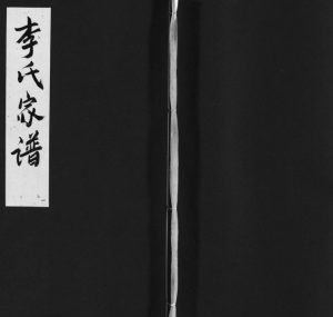 1882年修宜邑明湖李氏族谱[不分卷]江西宜春西平堂李氏完整电子版家谱下载