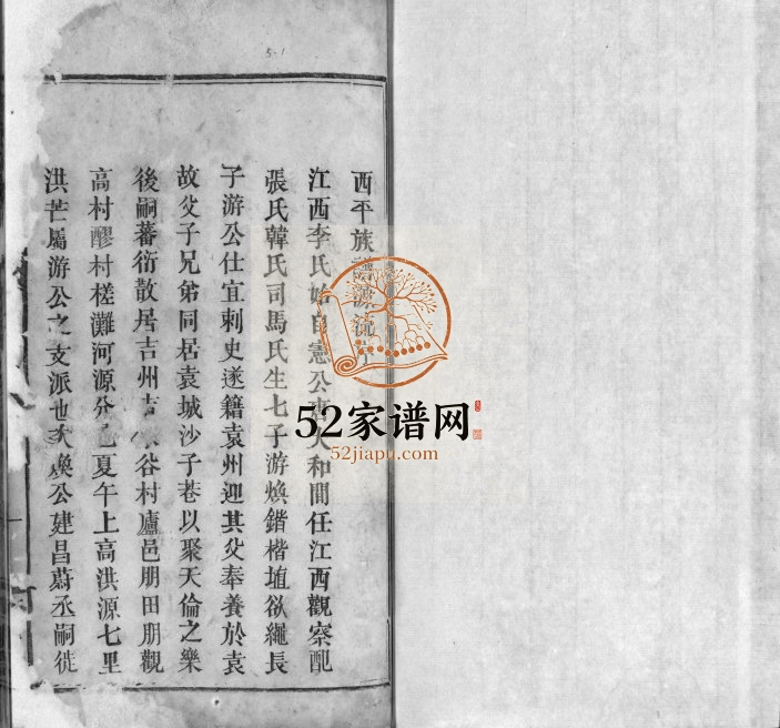 1882年修宜邑明湖李氏族谱[不分卷]江西宜春西平堂李氏完整电子版家谱下载