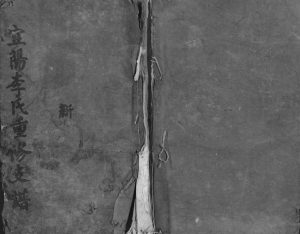 1842年宜阳李氏重修支谱[不分卷]江西宜春西平堂李氏完整电子版族谱下载