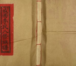 1995年宁都城西李氏八修族谱[不分卷]江西李氏完整电子版家谱下载