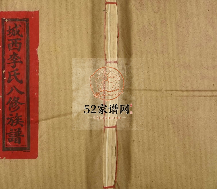 1995年宁都城西李氏八修族谱[不分卷]江西李氏完整电子版家谱下载