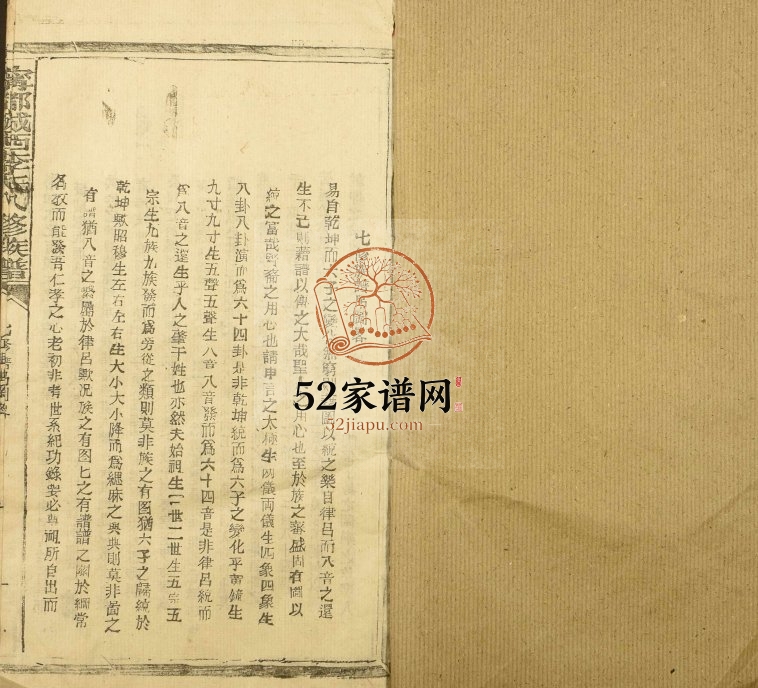 1995年宁都城西李氏八修族谱[不分卷]江西李氏完整电子版家谱下载