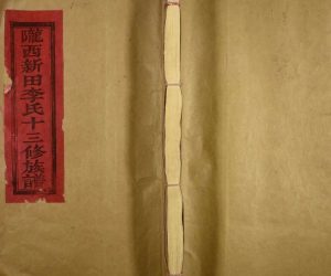 1995年陇西新田李氏十三修族谱[不分卷]江西宁都李氏完整电子版家谱下载