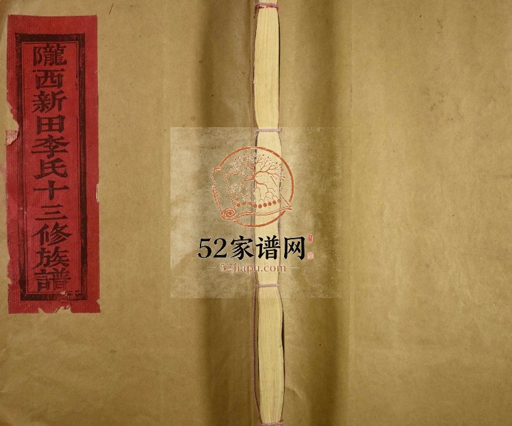 1995年陇西新田李氏十三修族谱[不分卷]江西宁都李氏完整电子版家谱下载