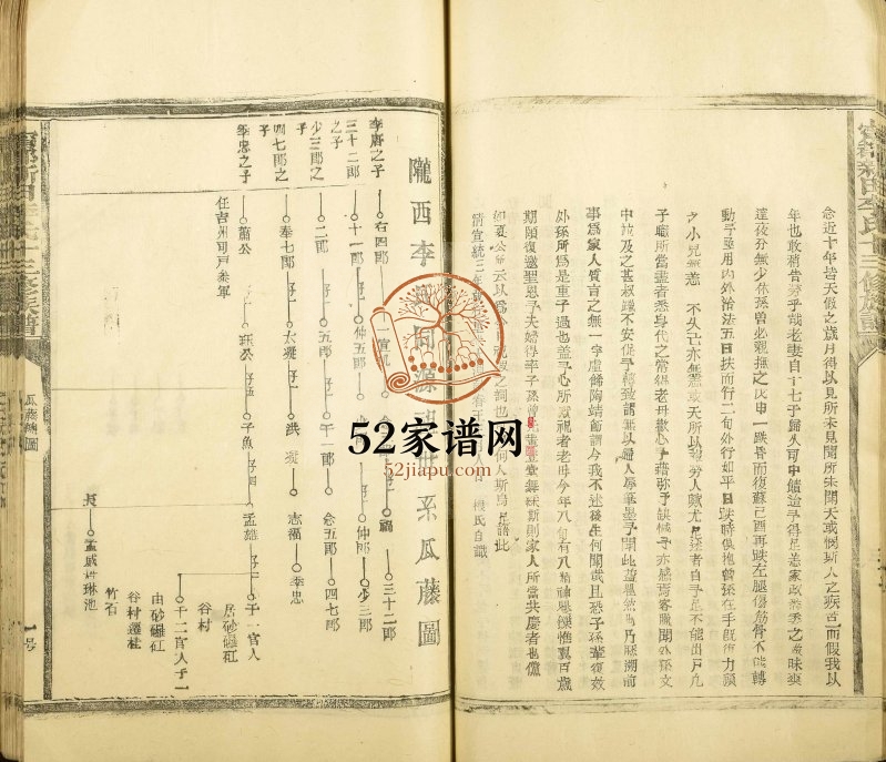 1995年陇西新田李氏十三修族谱[不分卷]江西宁都李氏完整电子版家谱下载