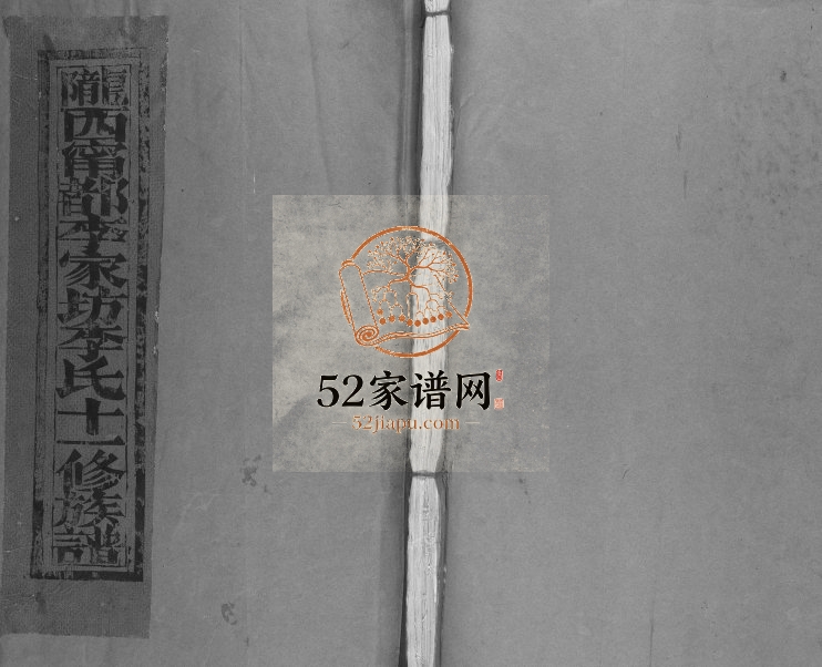 1995年宁都李家坊李氏十一修族谱[10卷]江西李氏电子版家谱下载