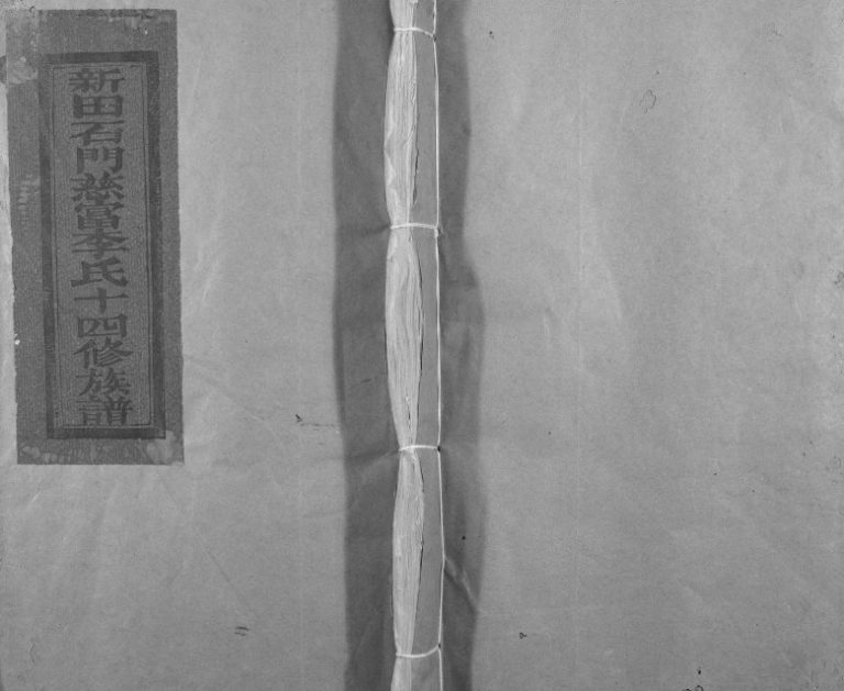 1995年新田石门慈富李氏十四修族谱[不分卷]江西宁都李氏完整电子版家谱下载