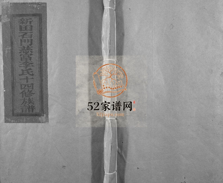 1995年新田石门慈富李氏十四修族谱[不分卷]江西宁都李氏完整电子版家谱下载
