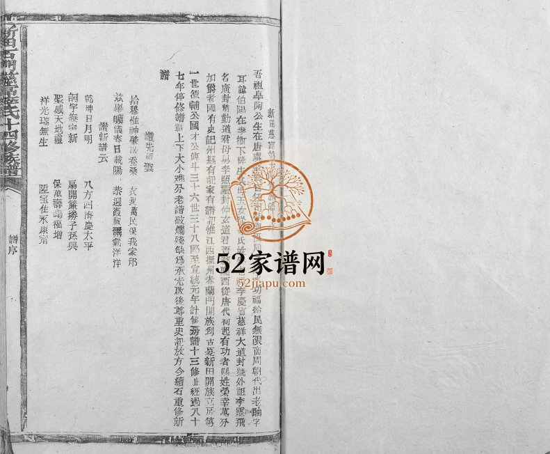 1995年新田石门慈富李氏十四修族谱[不分卷]江西宁都李氏完整电子版家谱下载