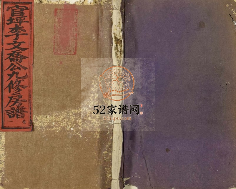 1930年修李文乔公房谱 江西兴国李氏完整电子版族谱下载