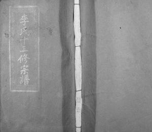 1989年李氏十三修宗谱[不分卷]江西丰城李氏完整电子版族谱下载