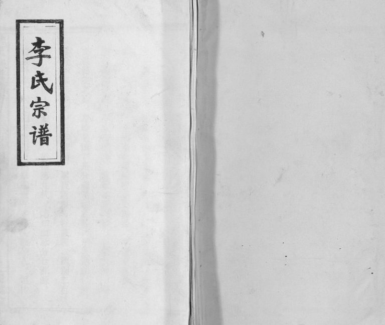 2006年修李氏宗谱 江西兴国 湖北洪山青莲堂李氏完整电子版族谱下载