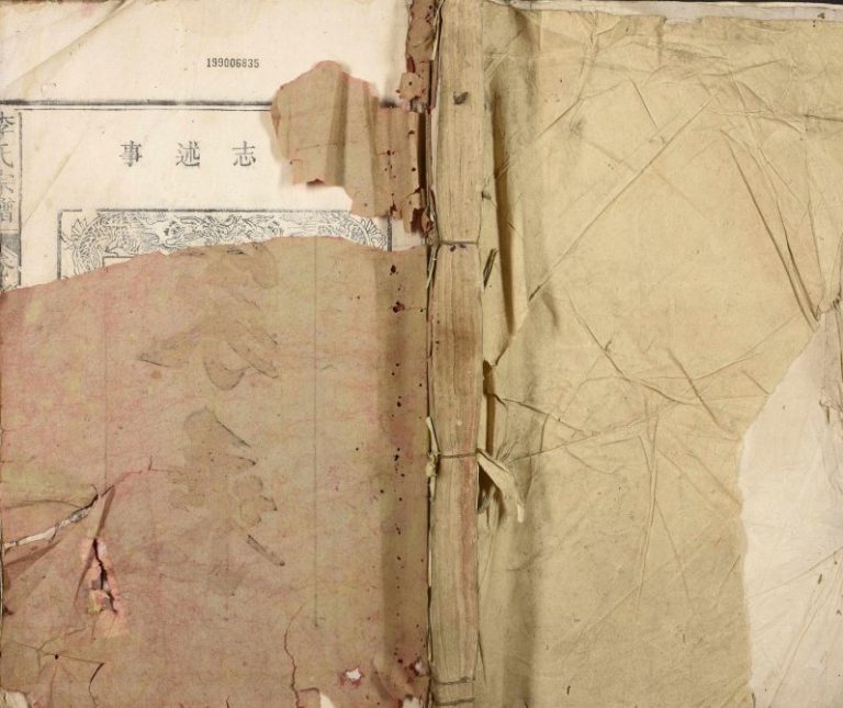 1907年修李氏宗谱 江西九江 湖口李氏电子版族谱下载