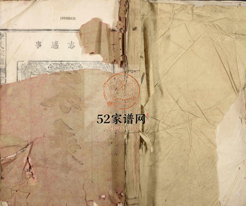1907年修李氏宗谱 江西九江 湖口李氏电子版族谱下载
