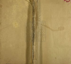 1947年修李氏宗谱 江西湖口李氏渤公家族电子版族谱下载