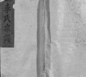 1995年重修李氏宗谱[5卷含首1卷]江西铅山李氏完整电子版族谱下载
