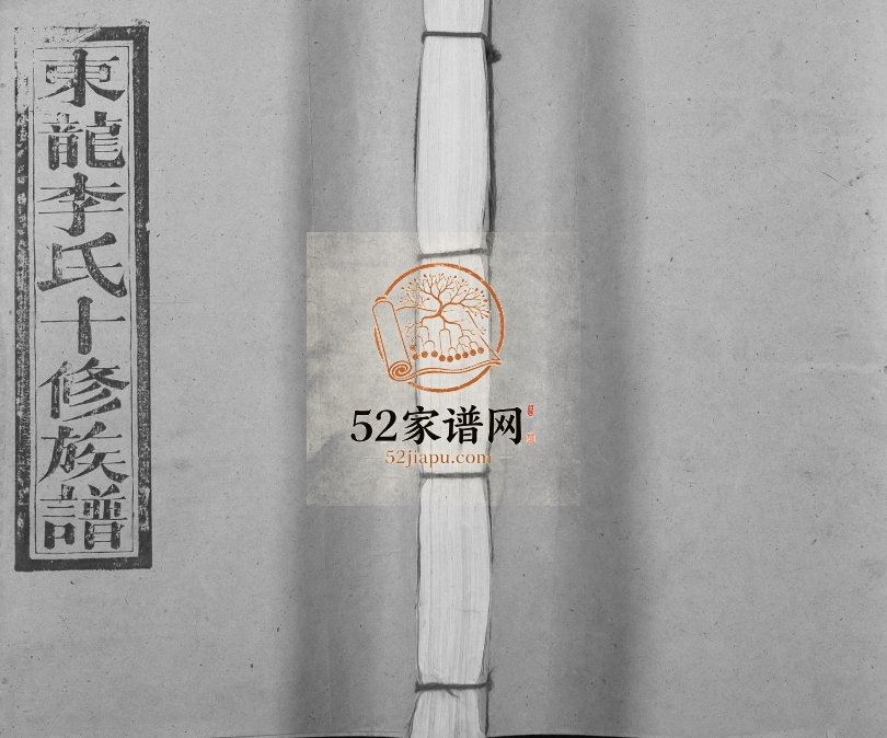 1994年东龙李氏十修族谱[13卷]江西宁都李氏电子版家谱下载