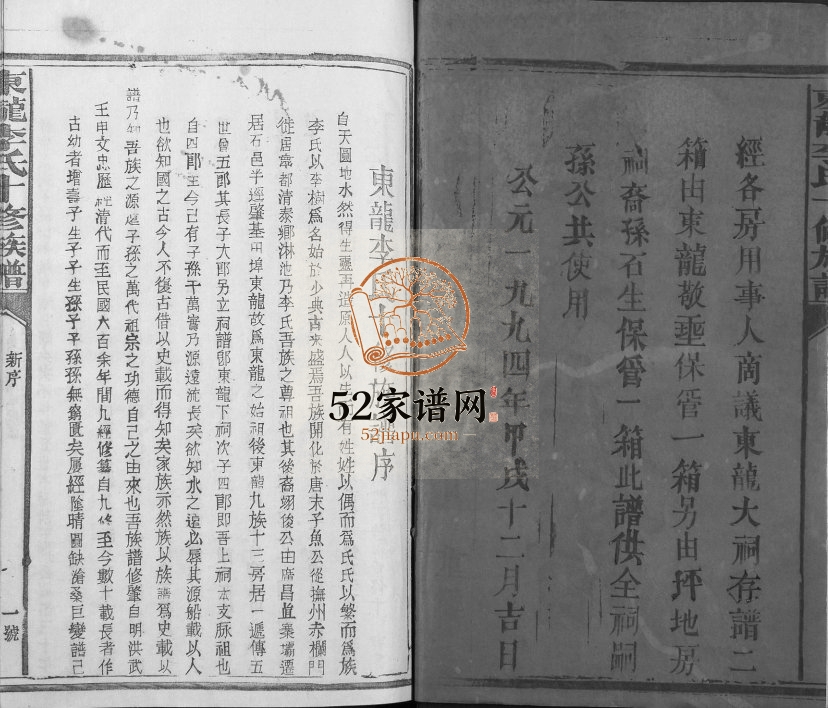 1994年东龙李氏十修族谱[13卷]江西宁都李氏电子版家谱下载