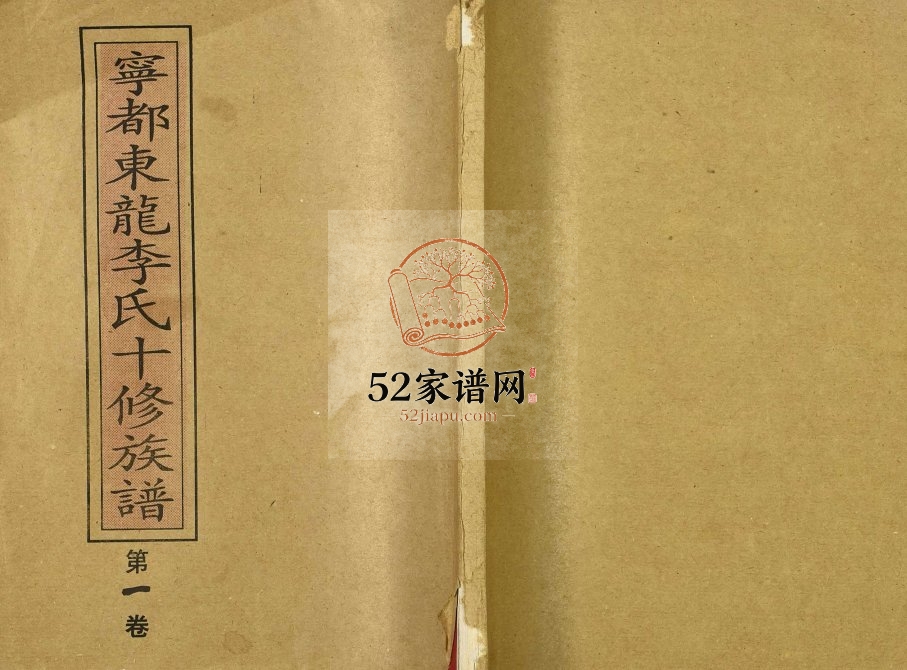1995年东龙李氏十修族谱 江西宁都李氏电子版家谱下载