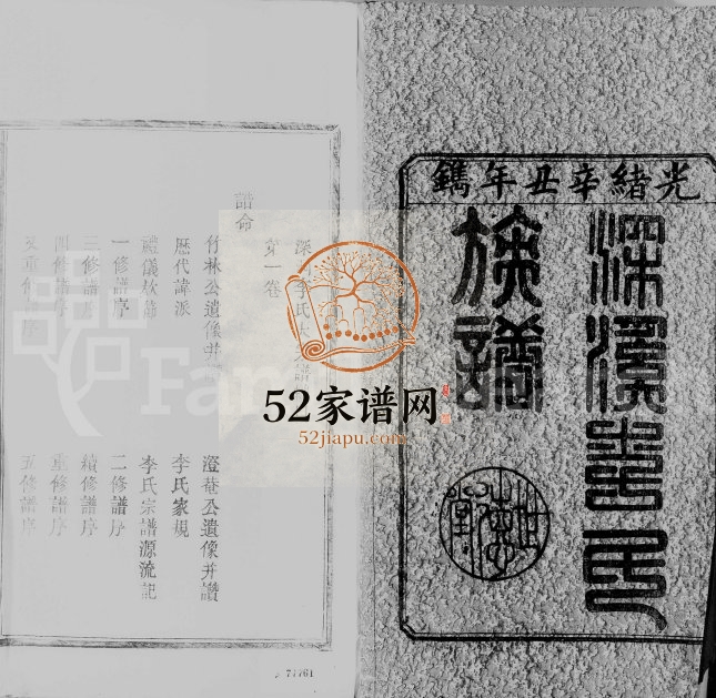 1901年九修深洞李氏大宗谱[12卷]江西南昌深溪李氏完整电子版族谱下载
