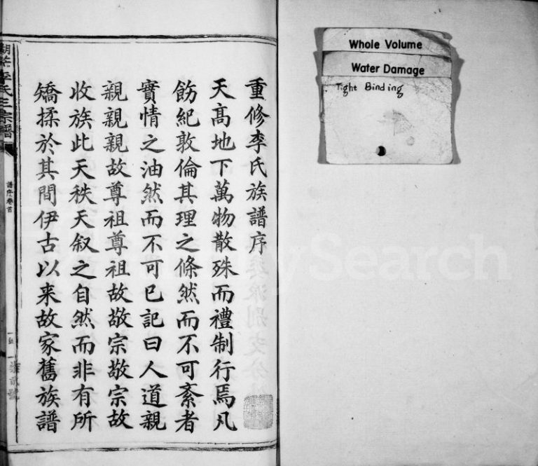 1933年修湖茫李氏三宗谱 江西丰城李氏完整电子版族谱下载