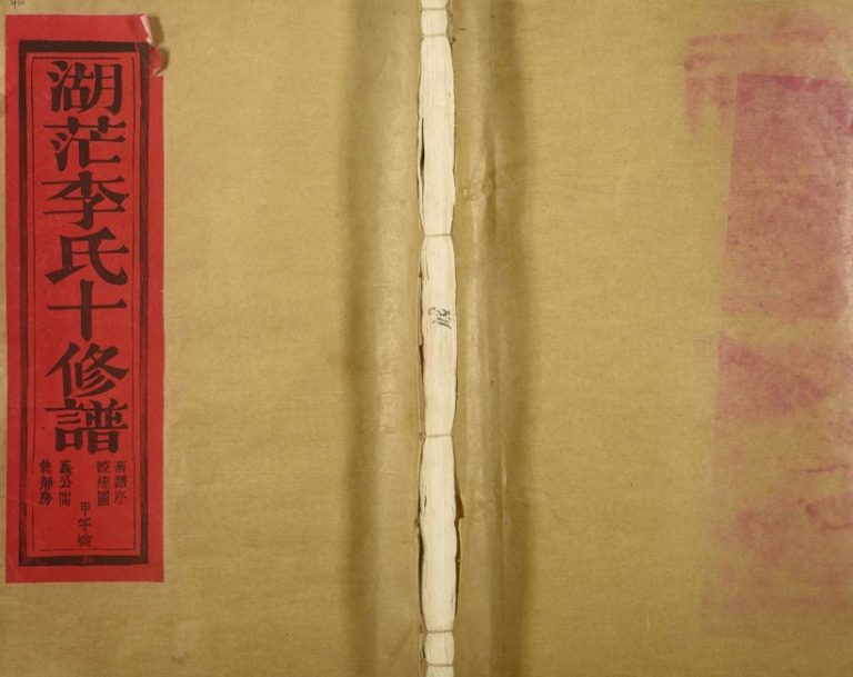 1989年湖茫李氏十修族谱[10卷首终各1卷]江西丰城源远堂李氏完整电子版家谱下载