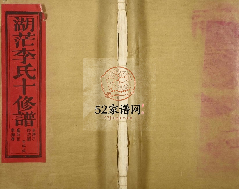 1989年湖茫李氏十修族谱[10卷首终各1卷]江西丰城源远堂李氏完整电子版家谱下载