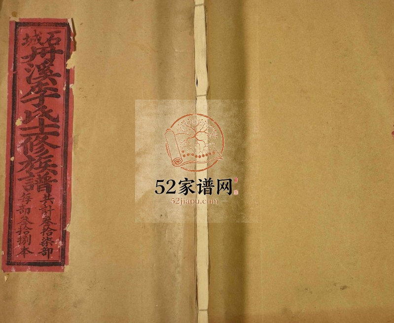 1992年石城丹溪李氏十一修族谱 江西赣州李氏电子版家谱下载
