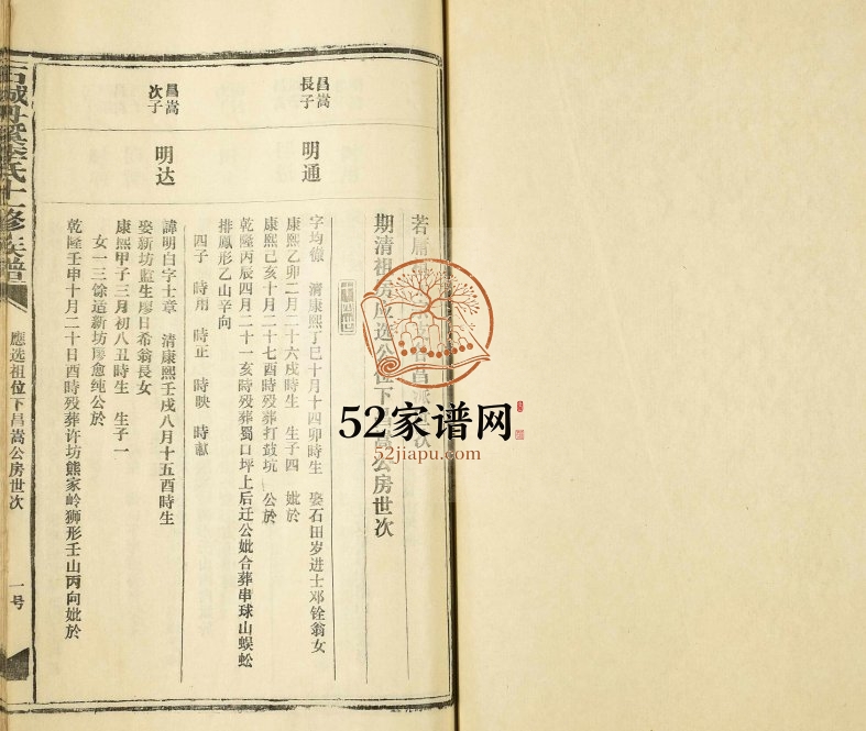 1992年石城丹溪李氏十一修族谱 江西赣州李氏电子版家谱下载