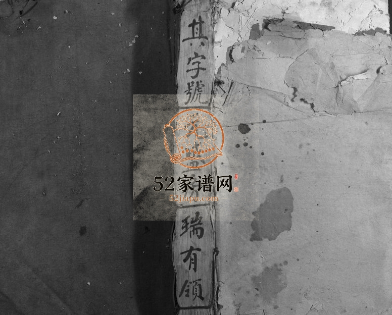 1917年藤溪李氏六修族谱 江西泰和李氏完整电子版家谱下载