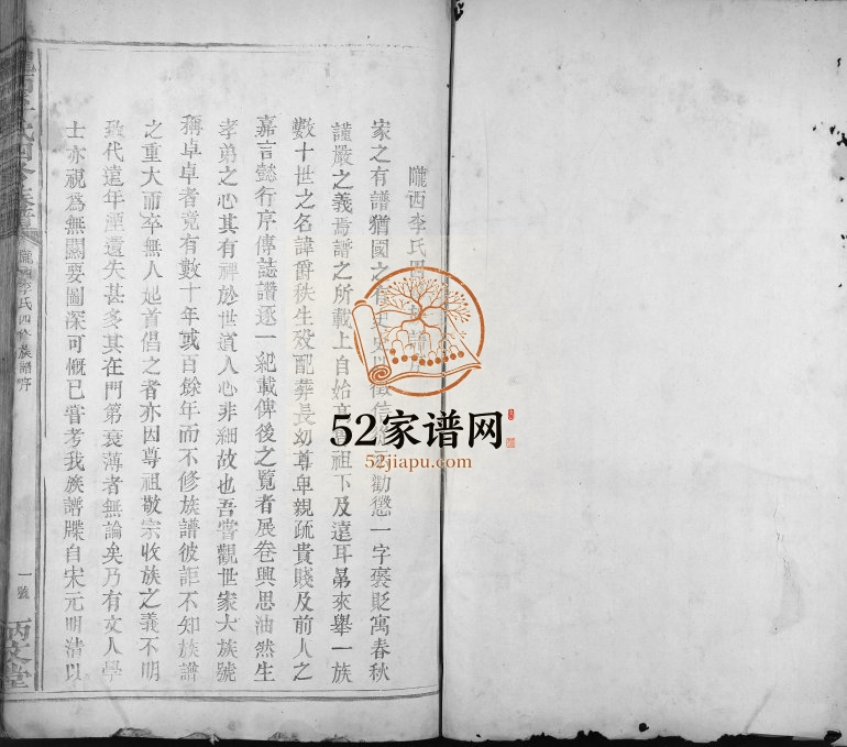 1916年陇西李氏四修族谱[不分卷]江西兴国炳文堂李氏完整电子版家谱下载