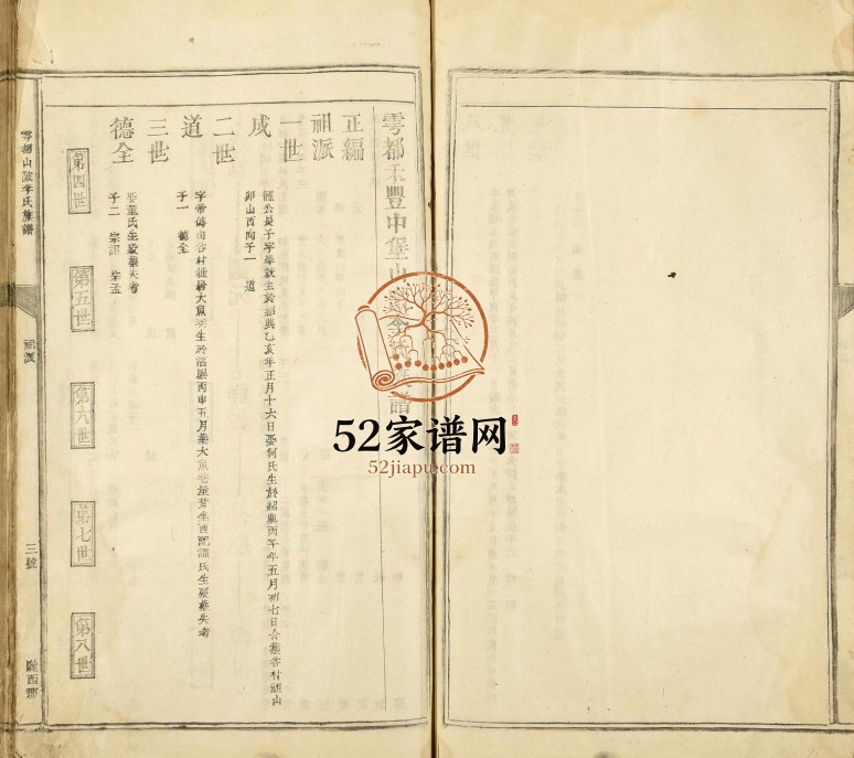 1924年修雩都禾丰中堡山陂李氏族谱 江西赣州于都李氏完整电子版家谱下载