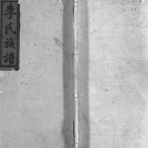 1913年修辅尧堂李氏族谱[4卷首2卷]江西萍乡栗江镇山背李氏族谱完整电子版家谱下载