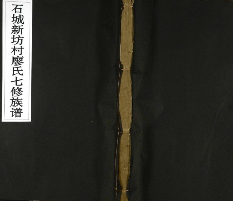 1911年石城新坊村廖氏七修族谱[不分卷]江西宁都廖氏电子版家谱下载