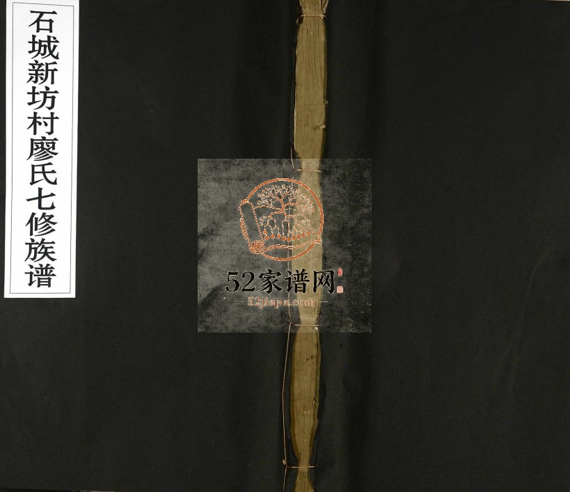 1911年石城新坊村廖氏七修族谱[不分卷]江西宁都廖氏电子版家谱下载