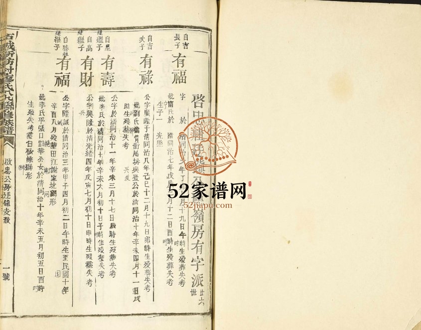 1993年石城新坊村廖氏八九联修族谱 江西赣州廖氏电子版家谱下载