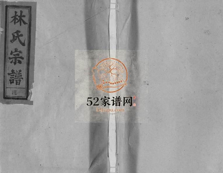 1995年修林氏宗谱[总卷数不详]江西广信 福建莆田十德堂林氏电子版族谱下载
