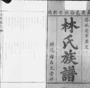 1820年林氏续修族谱 江西遂川林氏完整电子版家谱下载