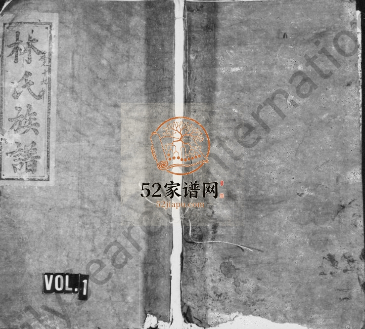 1849年修袁郡学前林氏族谱[残卷]江西万载忠孝堂林氏电子版家谱下载