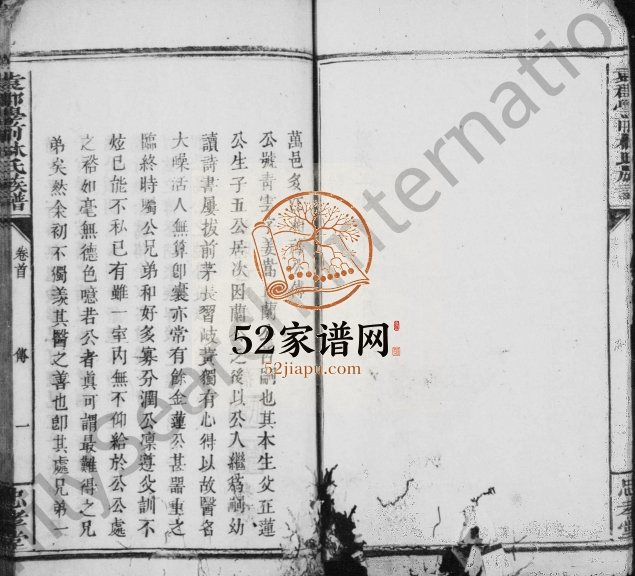 1849年修袁郡学前林氏族谱[残卷]江西万载忠孝堂林氏电子版家谱下载