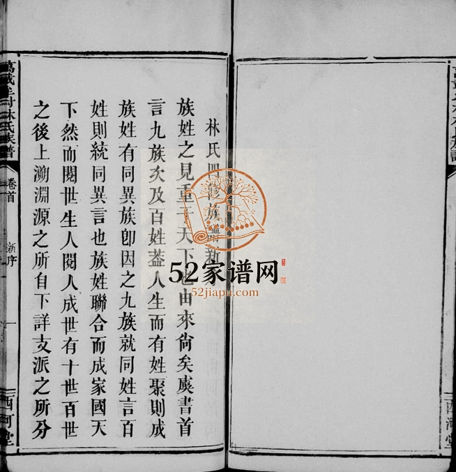 1920年四修万载牟村林氏族谱[4卷首1卷]江西万邑西河堂林氏完整电子版家谱下载