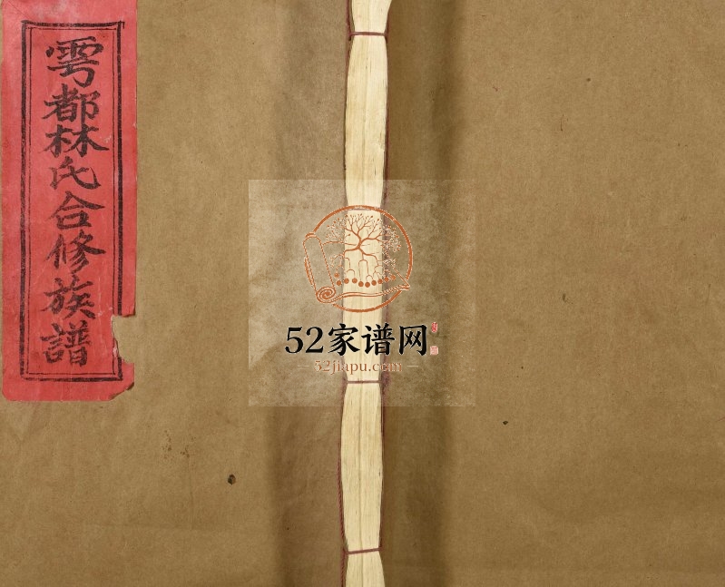 1993年雩都林氏合修族谱[14卷]江西于都西河堂林氏完整电子版家谱下载