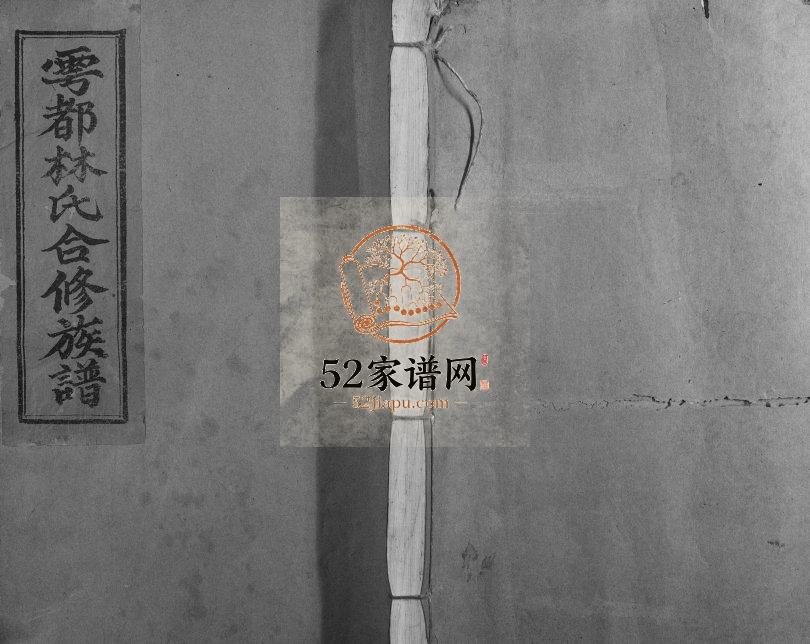 1993年雩都林氏合修族谱[13卷]江西于都西河堂林氏电子版家谱下载