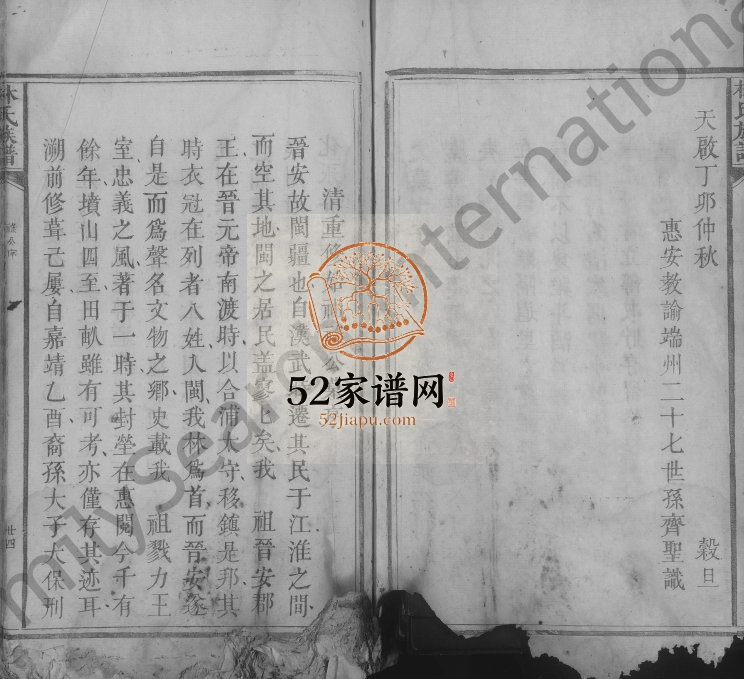 林氏族谱[不分卷]江西吉安林氏电子版家谱下载